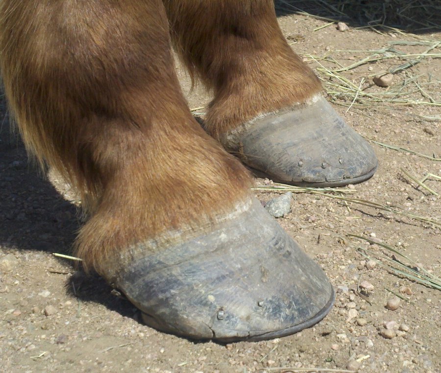 2012-04-05_13-48-59_173-11454425734.jpg