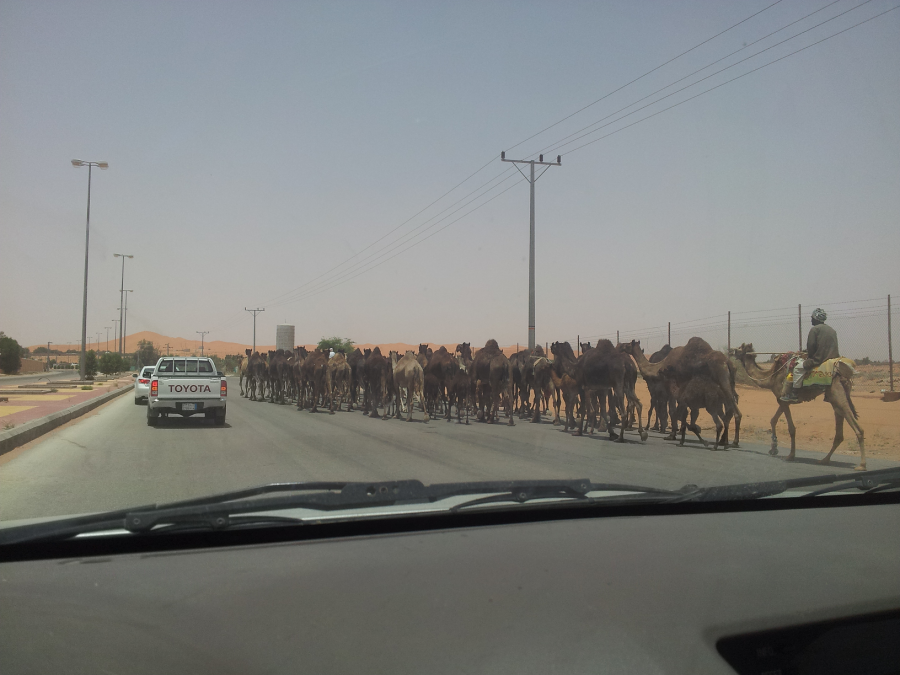 Saudi traffic jam.png