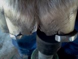 IMG_20120322_103642.jpg