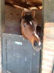 Delight Craddock